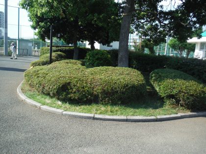 dscf8988