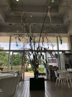 img_5006_r