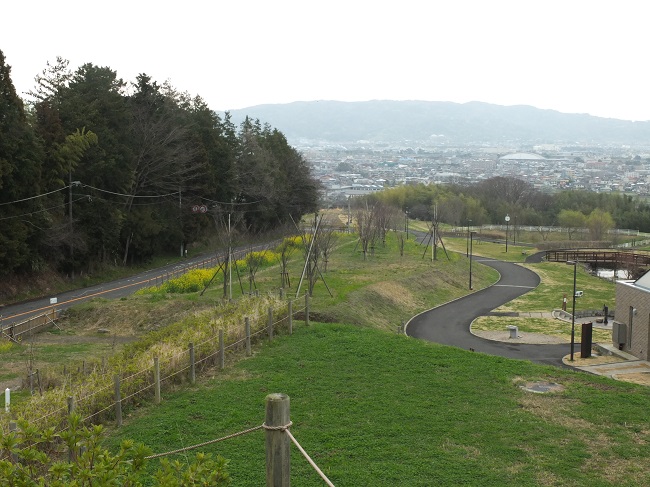 DSCF2052