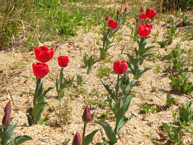 DSCF2157