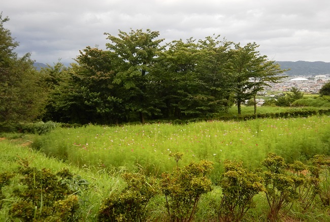 dscn8767-2