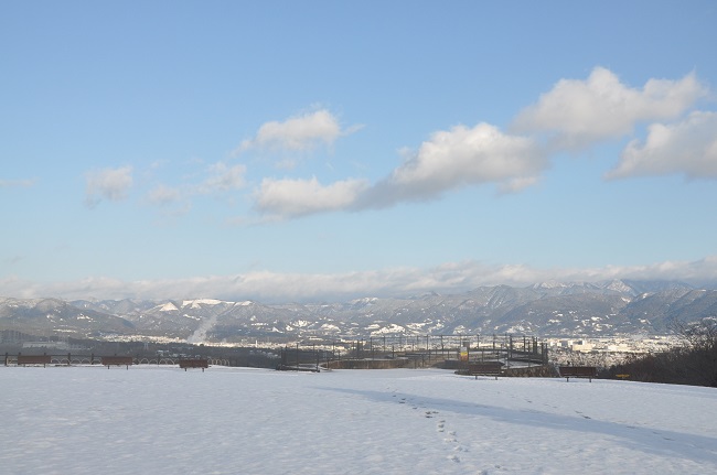 dsc_0393-6