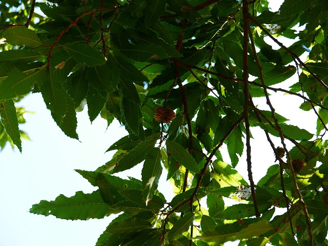 p1020097