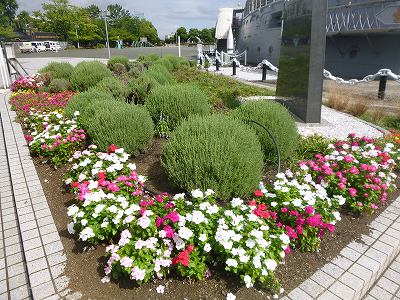 公園だより ヴェルニー公園 三笠公園 公園だより ヴェルニー公園 三笠公園