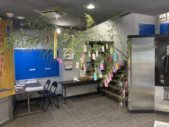 公園だより最新投稿写真