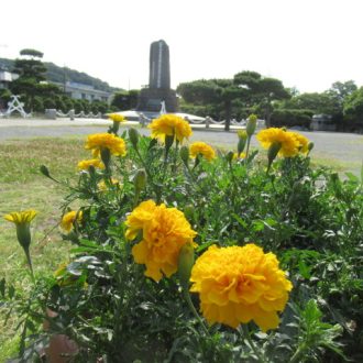 公園だより最新投稿写真