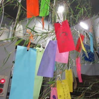 公園だより最新投稿写真