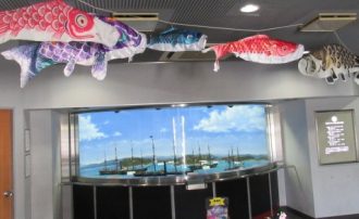 公園だより最新投稿写真