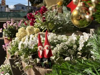 公園だより最新投稿写真