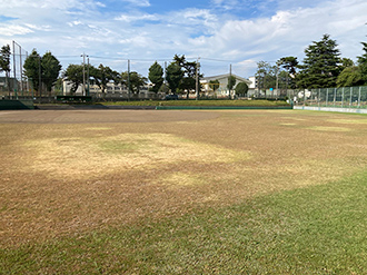 軟式野球場の写真