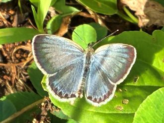 公園だより最新投稿写真