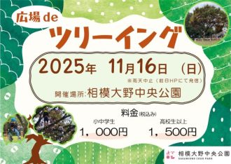 主催イベント:広場deツリーイング開催のお知らせの画像