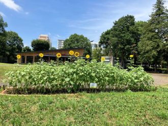公園だより最新投稿写真