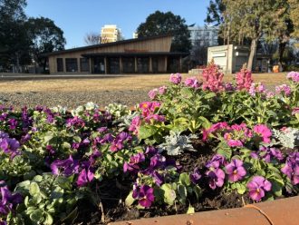 公園だより最新投稿写真