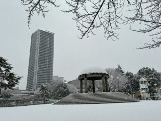 公園だより最新投稿写真