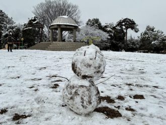 公園だより最新投稿写真