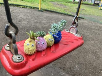 公園だより最新投稿写真