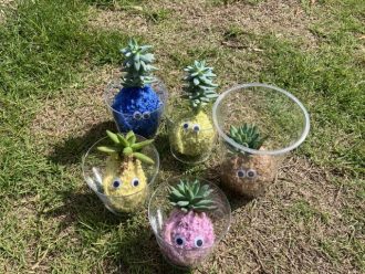 公園だより最新投稿写真
