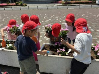 公園だより最新投稿写真