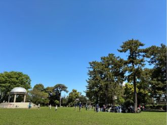 公園だより最新投稿写真