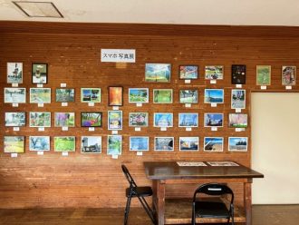 公園だより最新投稿写真