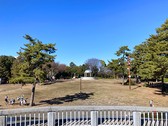 風の広場の写真