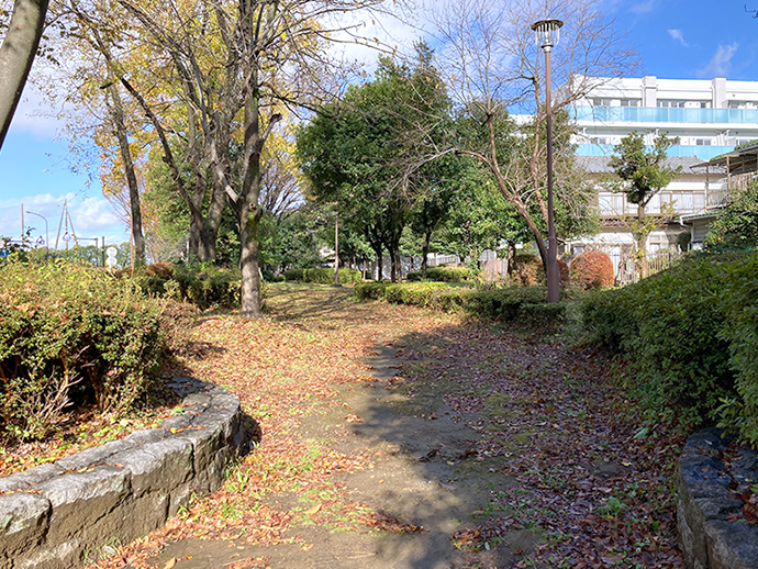 四季の道の写真