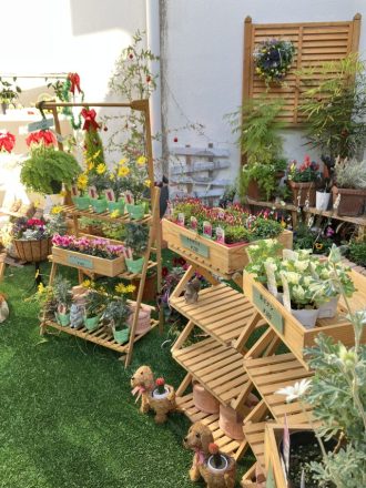 公園だより最新投稿写真