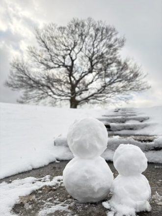 公園だより最新投稿写真