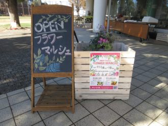 公園だより最新投稿写真