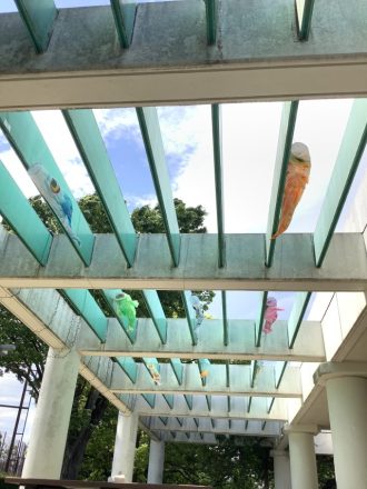 公園だより最新投稿写真