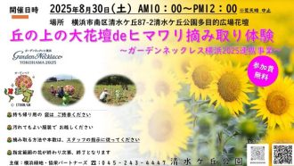 主催イベント：【告知】ヒマワリ摘み取り体験2025の画像