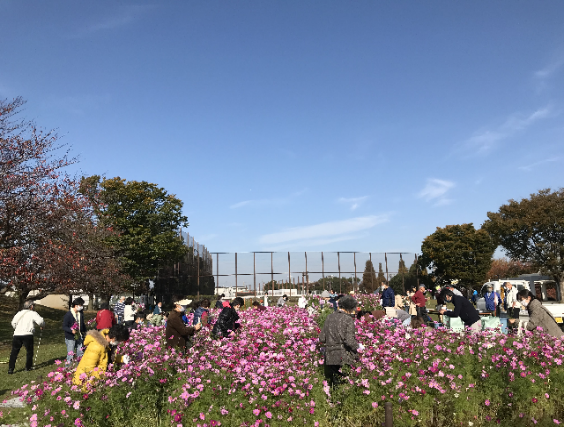 公園だより 横浜市 清水ケ丘公園