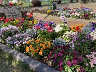 公園だより最新投稿写真