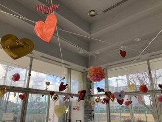 公園だより最新投稿写真