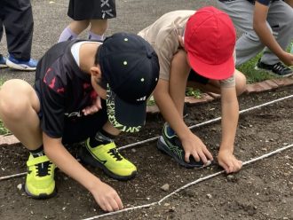 公園だより最新投稿写真