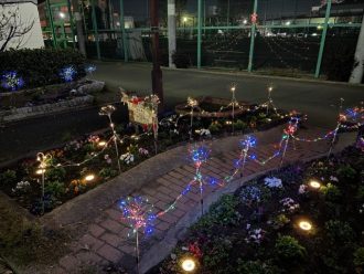 公園だより最新投稿写真