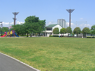 公園の写真