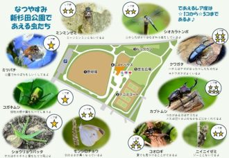 公園だより最新投稿写真