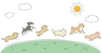 主催イベント:ドッグラン無料体験イベント🐶🐶🐶の画像