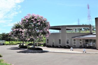 主催イベント：2025年8月イベント情報の画像