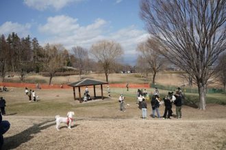 主催イベント：【仮設ドッグランイベント】2026年4月18日(土）～5月17日(日）の画像