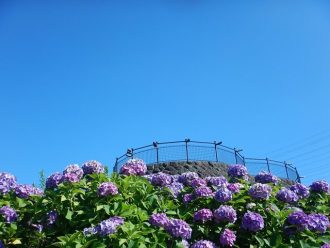 主催イベント：2026年6月イベント情報の画像