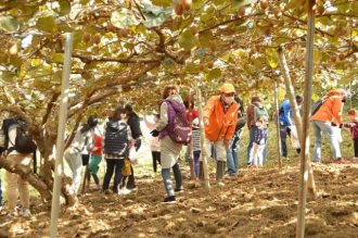 主催イベント:2025年11月イベント情報の画像