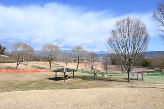 主催イベント:2025年11月22日(土)~12月14日(日)仮設ドッグランの画像