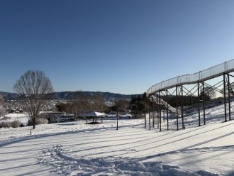 公園だより最新投稿写真