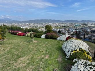 公園だより最新投稿写真