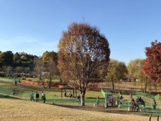 主催イベント：2026年11月イベント情報の画像