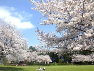 主催イベント：2026年4月イベント情報の画像