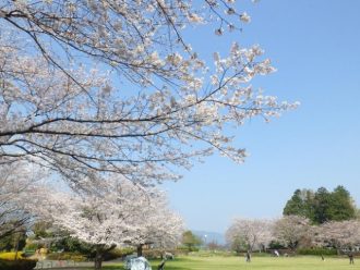 公園だより最新投稿写真